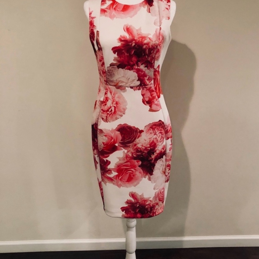 Clavin Klein women size 6 Floral Pink Red Flower Sleeveless Dress